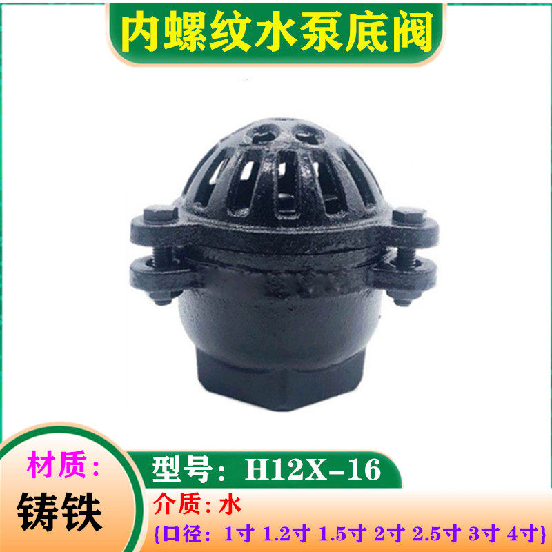 Female threaded bottom valve H12X-16 check valve cast iron suction valve pump special filter valve wire buckle basket 2 inch