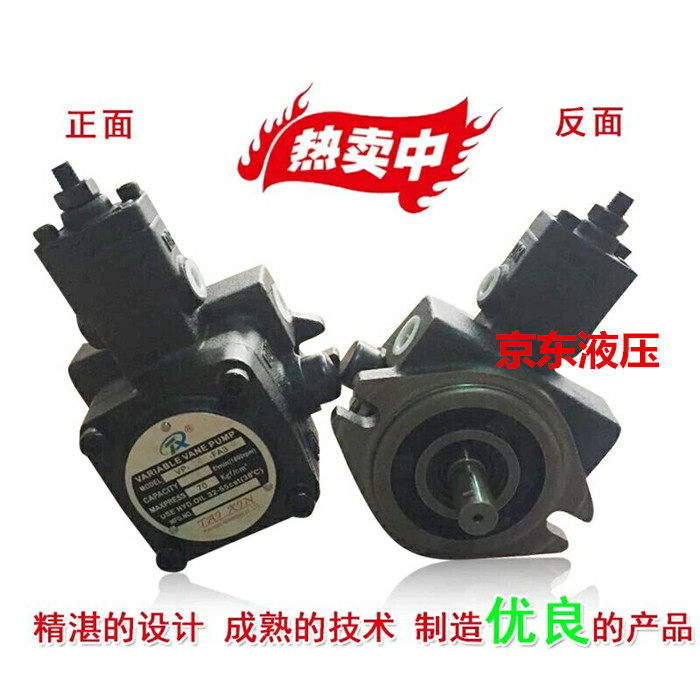 Vane pump Variable vane pump oil pump VP20 12 20-FA3 Low noise shaft 12 7 15 875