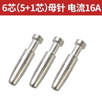 6 -Core Mother Beedle