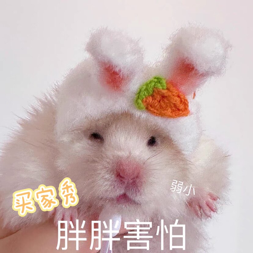 Dongdong Handmade Woven Cute Hamster Golden Bear Ornament Small Hat Any Two Pieces
