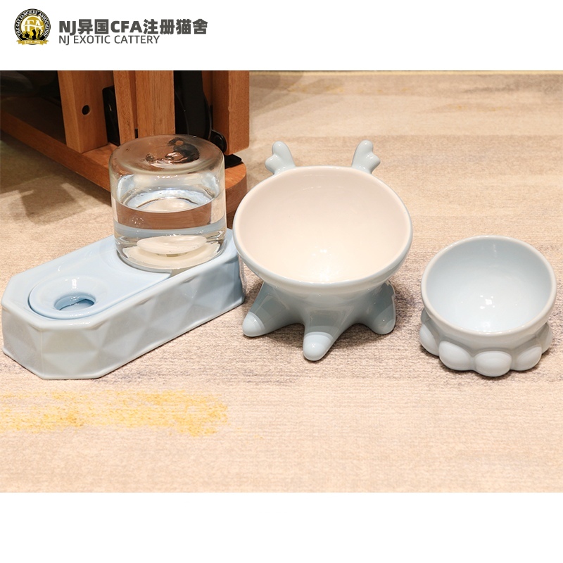 Cat Bowl Protection Cervical Spine Ceramic Anti-Overturning Dog Bowl Cat Food Basin Pet Bowl Young Cat Gaffy Cat Kitty Dog Supplies