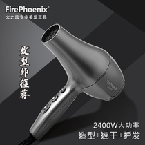 Fire Phoenix new hair dryer hair salon professional modeling silent quick-drying 5610H brushless motor light and high power