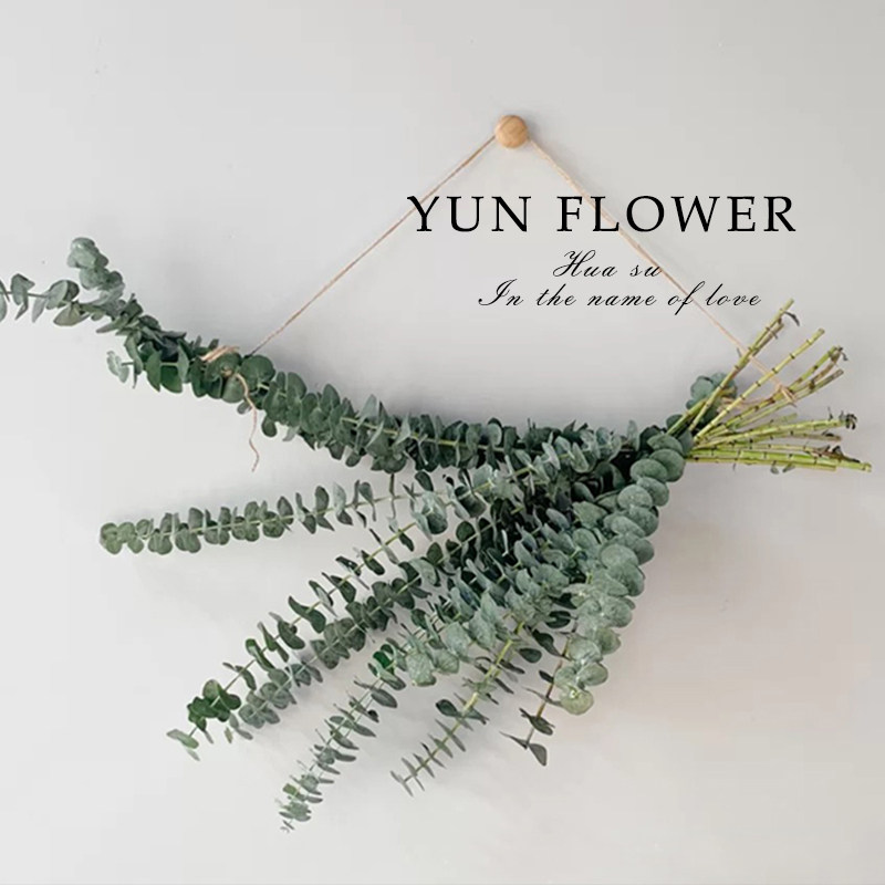 Yunnan Eucalyptus leaves immortal dry flower Nordic NIS house quiet wind simple homestay model living room flower arrangement