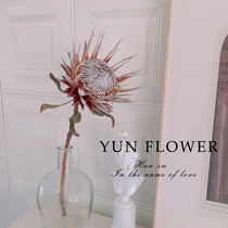 Import emperors Dried Flowers High-end Floral Materials Natural Real Flowers Furnishing Floral-Like Board Room Hotel Living-room Light Lavish Decoration