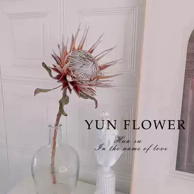 Imported Imperial dry flower high-end flower material natural real flower decoration flower arrangement model room hotel living room light luxury decoration