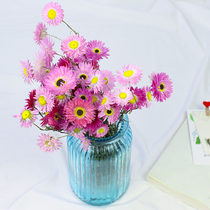 Rhodanse Perpetual Raw Flowers Small Wax Chamomile Import High-end Floral Materials Nordic Ins Flower Arrangement Diy Material Dry Flower Pendulum Piece Shooting