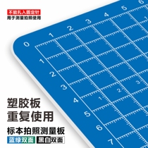 Plastic plate ESD pathological tissue tumor endoscopic surgery specimen fixed measuring plate photo-taking non-reflective scale