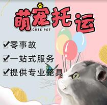 Pet transport service Air Chengdu Mianyang national dog consignment cat individual random air express mail international