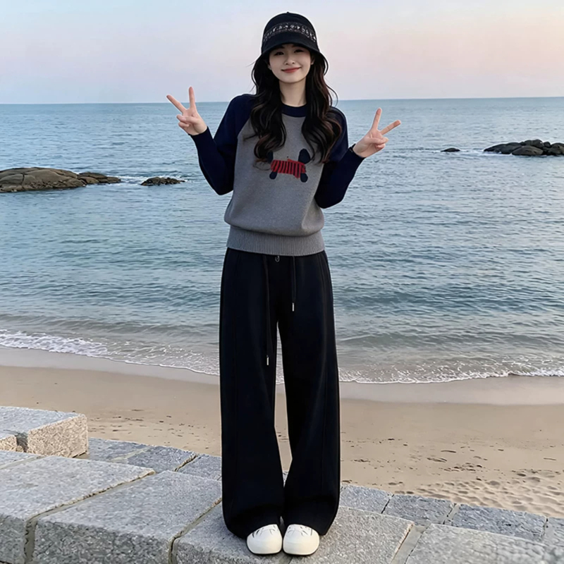 Korean-Style Vibe Color-Blocking Embroidered Dog Pattern Knit Sweater for Women, New Autumn and Winter Loose-Fitting Base Shirt, Age-Reducing Top
