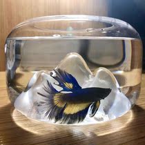 Jellyfish Tank Nordic Creative Glass Fish Tank Living Room Office Small Decoration Pendulum Mini desktop View Microscape