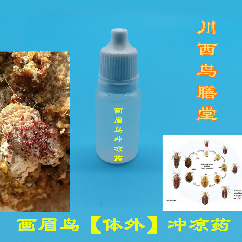 Kawasi Bird Boarding Hall No 2 Painting Brow Brow Insect Repellent Rind for Insect Repellent Drug Blood Mites for Bloodborne Mites