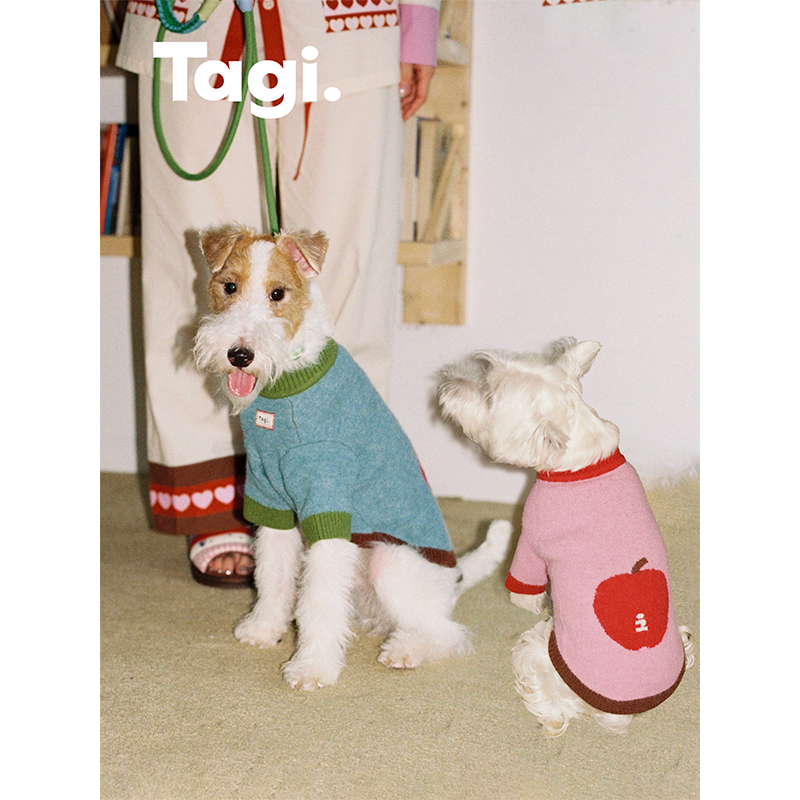 Tagi.《I》Haha Imagine Apple Color-Blocked Autumn and Winter Pet Dog Clothes Knitted Sweater