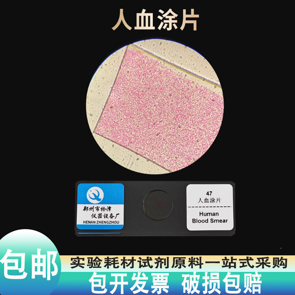 皖南人血涂片切装片生物实验学校专用教学显微镜观察细胞装片