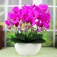 Trang trí trang trí mô phỏng PU Phalaenopsis chậu phụ kiện nhà phòng khách TV tủ hoa giả cây xanh trang trí hoa - Trang trí nội thất