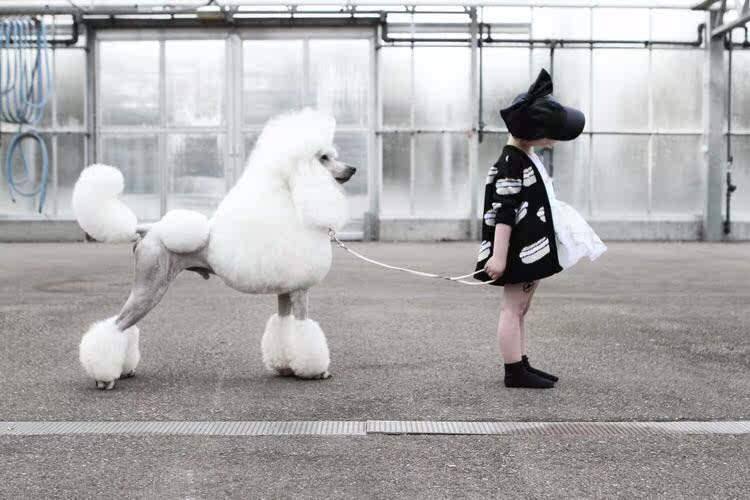 Pull enfant - Ref 2103080 Image 8