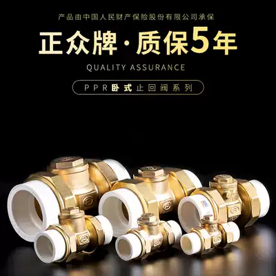 20 Brass thickened 4 minutes 6 minutes 1 inch PPR double live 25 one-way backwater transverse horizontal check valve door