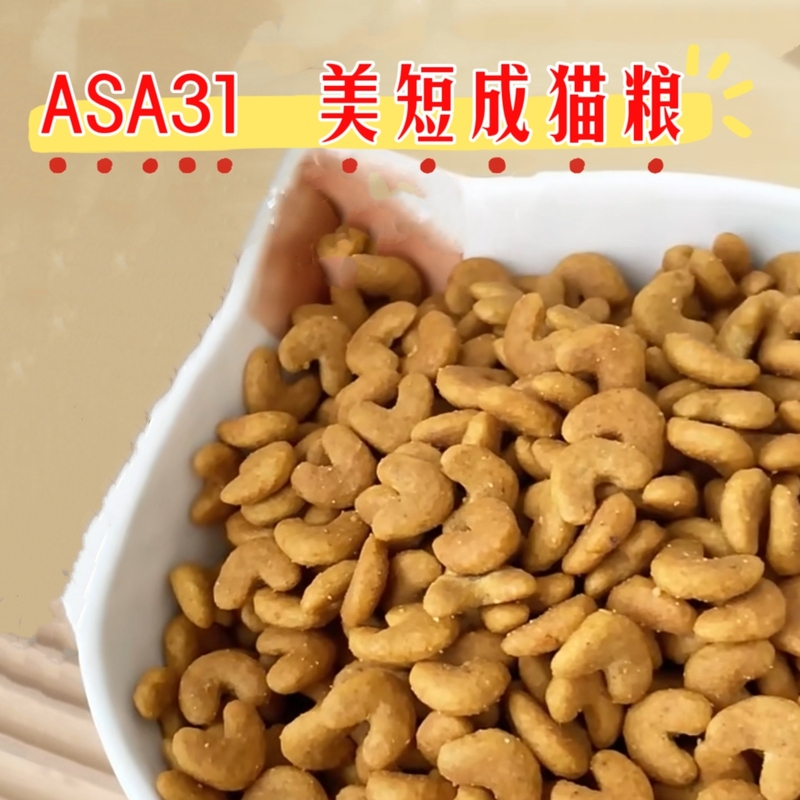 Manufacturer Sets Price Asa31 American Shorthair Adult Cat Food American Shorthair Nutritional Complete Main Meal Cat Food 2kg Original Package Manufacturer Sets Price Asa31 American Shorthair Adult Cat Food American Shorthair Nutritional Complete Main Meal Cat Food 2kg Original Package