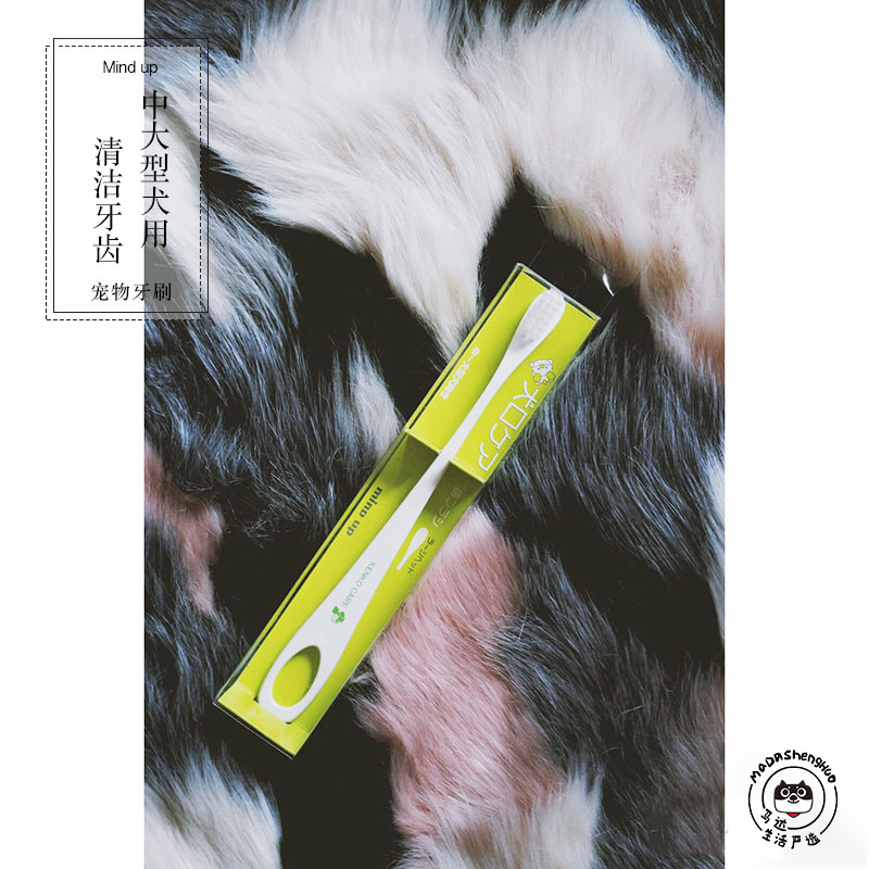 Japan native MIND UP Soft wool toothbrush with large pet pooch toothbrush cleaning teeth