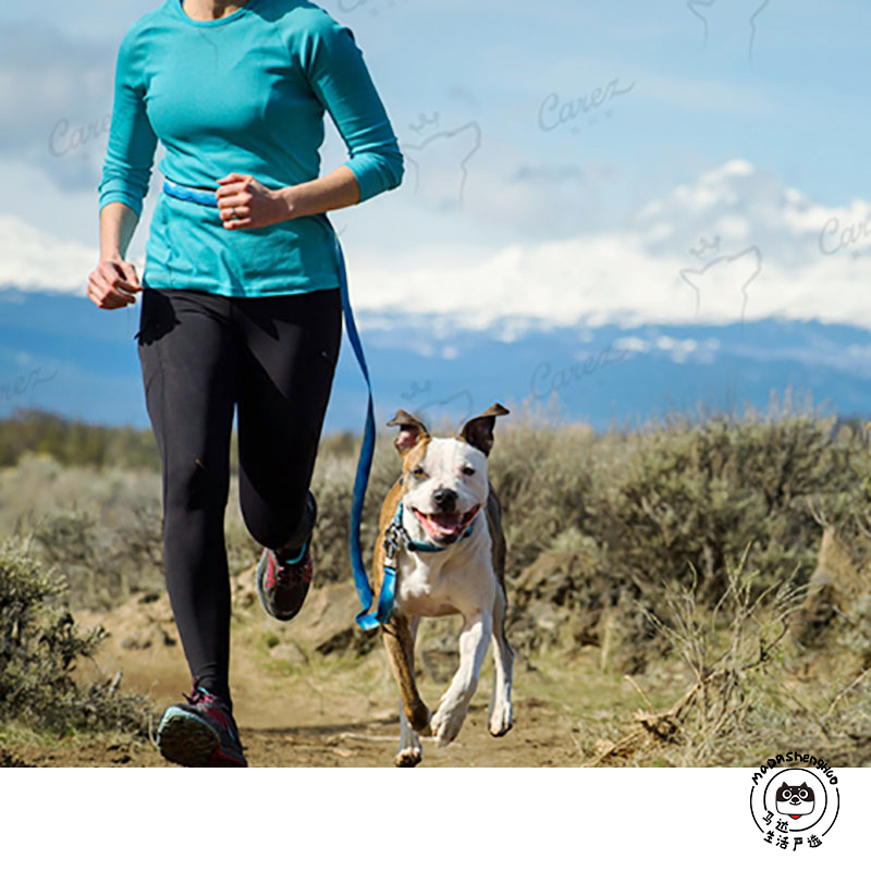 RuffWear US Rav Wilfolet Dog traction rope can be tied for waist running