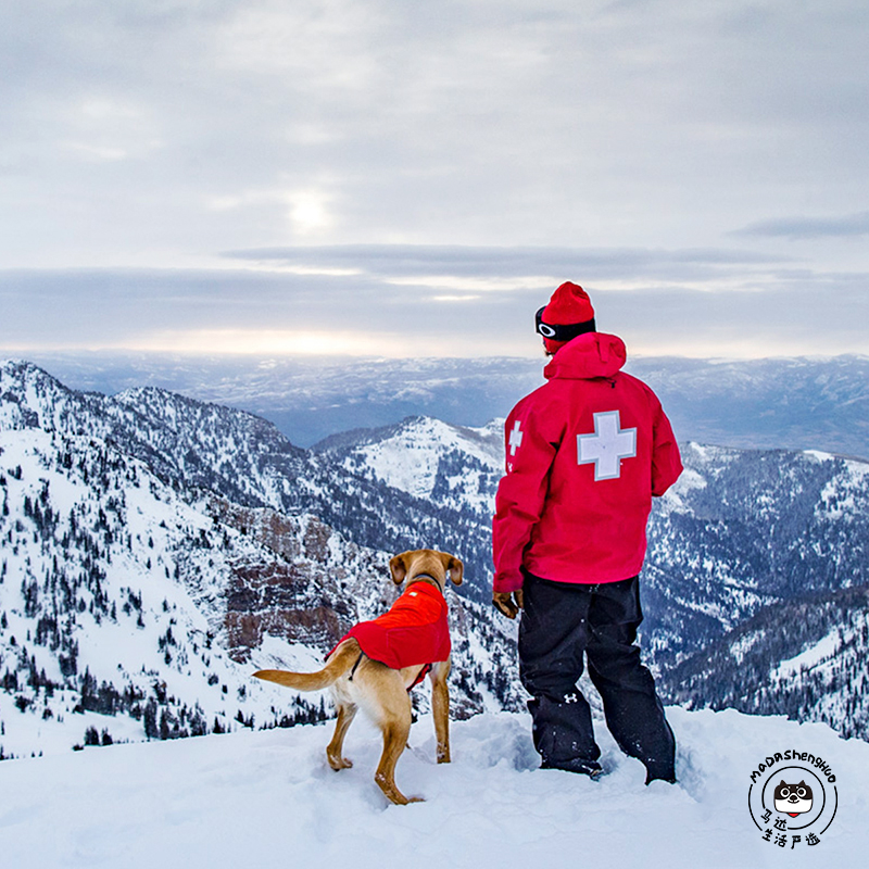 RuffWear Rafale's new pooch jacket Viter jacket pooch underdog, pooch-pooch