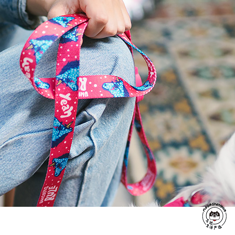 American Zee dog pooch outdoor activities traction rope big small and medium dogs apply