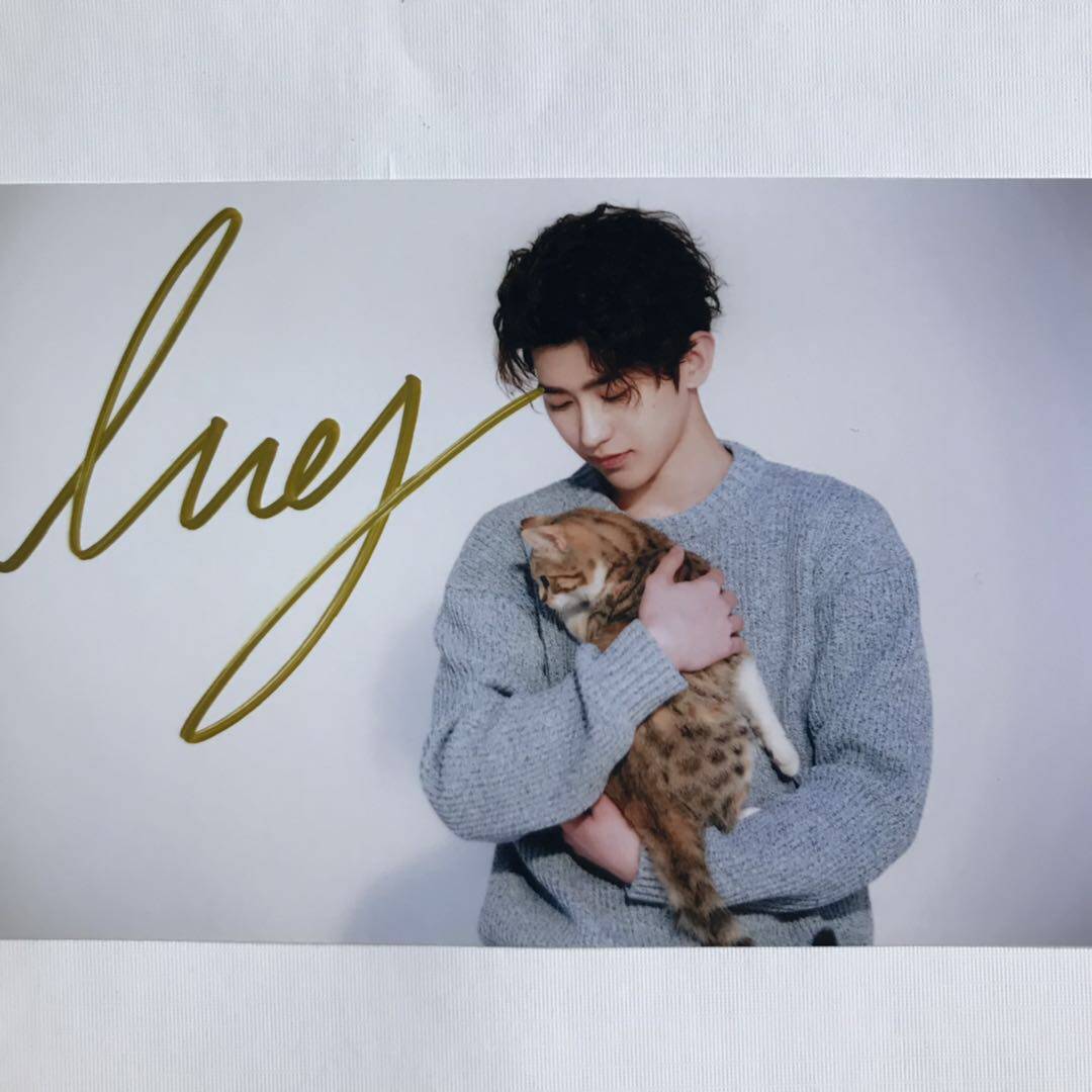 NPC Cai Xu Kun's pen signing photo surrounding Pareal No printed ikun to send friends with the same pro-sign postcard