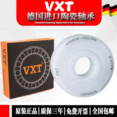 Imported NSK VXT zirconia full ceramic bearings 6006 6007 6008 6009 6010 6011 CE