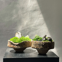New Chinese style Japanese immortal Moss micro landscape Zen sales department negotiation table floral Chinese model house green plant