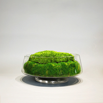 Modern small Moss floral table tea table flower tea table end View platform decoration floral style house clubhouse hotel soft decoration