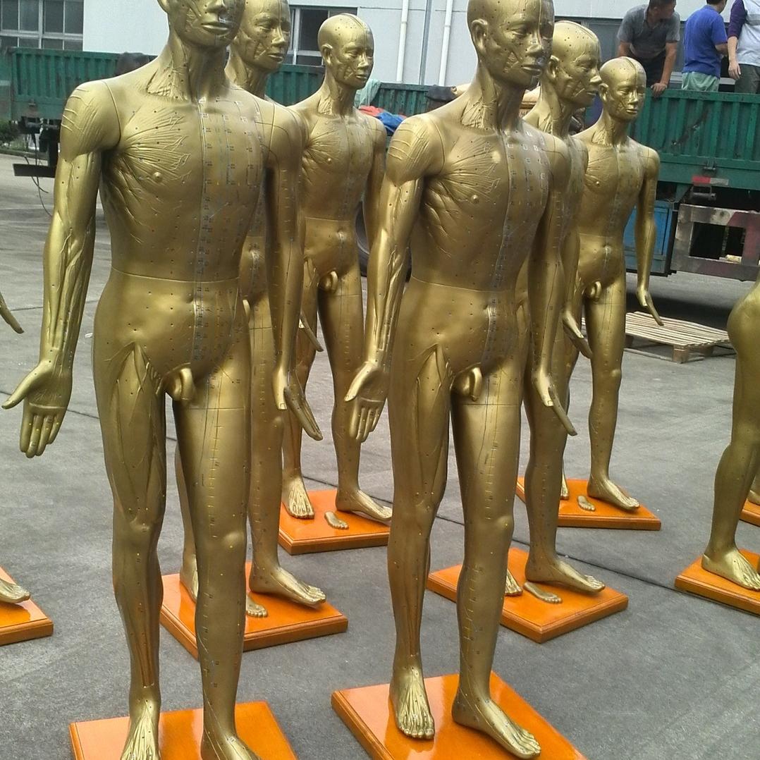 170CM人体针灸穴位模型针灸铜人模型经络穴位模型盲人针灸医用