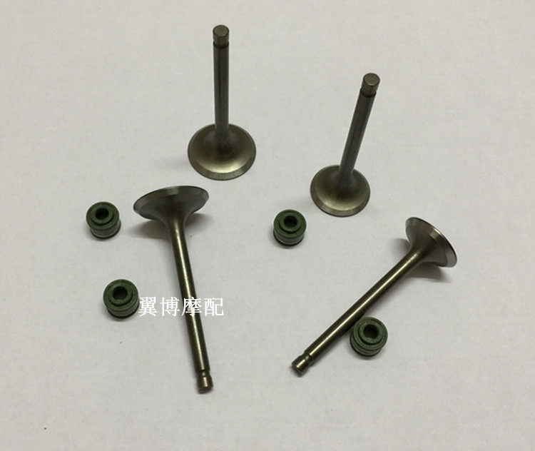 Locomotive Tianwang Taizi XV250 valve Qianjiang QJ250-L J H intake door exhaust door oil seal