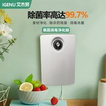 Fruit and vegetable cleaner washing vegetable meat Fruit Vegetable Disinfection Detoxifying Ingredients Purification Machine Germicidal Ozone Generator