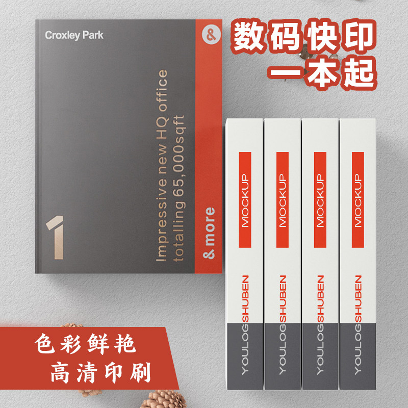 Propaganda album printing instructions printing materials quick printing proofing small batches a minimum order cover 250 copper plate