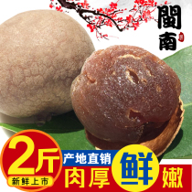 New product selection 8A dried Longan dried Longan dried Longan dried Longan dried Longan dried Longan dried Longan dried Longan dried Longan dried Longan dried Longan dried Longan dried Longan dried Longan dried Longan dried Longan dried Longan dried Longan dried Longan dried Longan