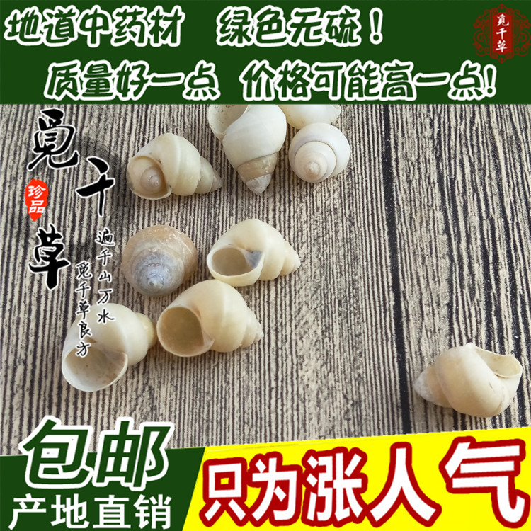 Chinese herbal medicine white snail shell white screw white snail white snail white master snail 500g