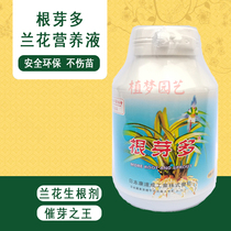 Special orchid fertilizer Japanese root bud multi-orchid Dendrobium Dendrobium rooting germination and seedling agent Nutrient solution Foliar fertilizer
