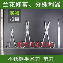 Dream planting gardening tools Orchid pruning seedling sharp tool Stainless steel scissors straight head elbow scissors Sharp scalpel