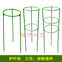 Special orchid leaf guard bracket plant orchid plant holder leaf guard ring to help support the leaves do not fall and crack