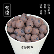 Plant dream Horticulture special lightweight ceramic ball Aquarium fish tank Hydroponic meaty paving flower pot bottom nutrient soil