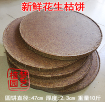 Fresh peanut dry cake Peanut bran cake Fishing nest bait Peanut oil residue Fruit tree vegetable bean cake Organic fertilizer