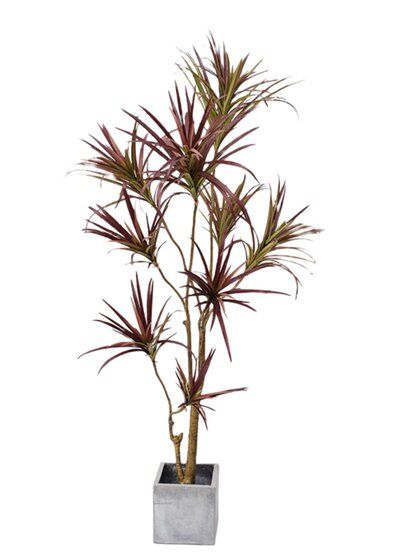 Nordic ins Style Artificial Green Plant Dragon Blood Tree Millennium Tree Fake Green Plant Potted Multi-Head Indoor Floor Decoration for Living Room