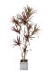 Nordic ins Style Artificial Green Plant Dragon Blood Tree Millennium Tree Fake Green Plant Potted Multi-Head Indoor Floor Decoration for Living Room