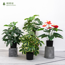 Nordic simulation plant decoration simulation flower wind small swing piece living room desktop potted home indoor fake green planting bonsai