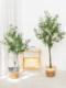 Nordic Artificial Green Plant Olive Tree Indoor Living Room Floor-Standing Bonsai Clothing Store Window Decoration Landscaping Large Fake Green Plant