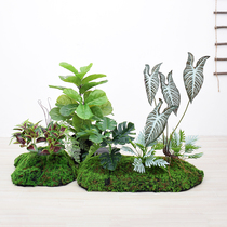 Simulation Moss Drum Kit Plant Indoor Living Room Decoration Micro-View Turf Green Planting Landscape Green Planting Landscape Lawn