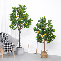 Nordic Large Emulation Lemon Tree Orange Tree Indoor Decoration Green Plant Bonsai Fake Flowers Home Swing Piece Ground Fake Tree
