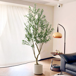 Simulated Olive Tree Indoor High-End Large Floor-Standing Green Plant Living Room Sofa Light Luxury Bionic Decorative Fake Tree Potted Plant