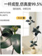 Simulated Green Plants, High-End Light Luxury Black Diamond Rubber Tree, Indoor Living Room Decoration, Bionic Fake Plants, Floor-Standing Ornaments