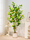 Simulated Green Plant Orange Tree, High-End Light Luxury Artificial Plant, Indoor Living Room Large Floor-Standing Potted Decoration, Biomimetic