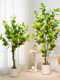 Simulated Green Plant Orange Tree, High-End Light Luxury Artificial Plant, Indoor Living Room Large Floor-Standing Potted Decoration, Biomimetic
